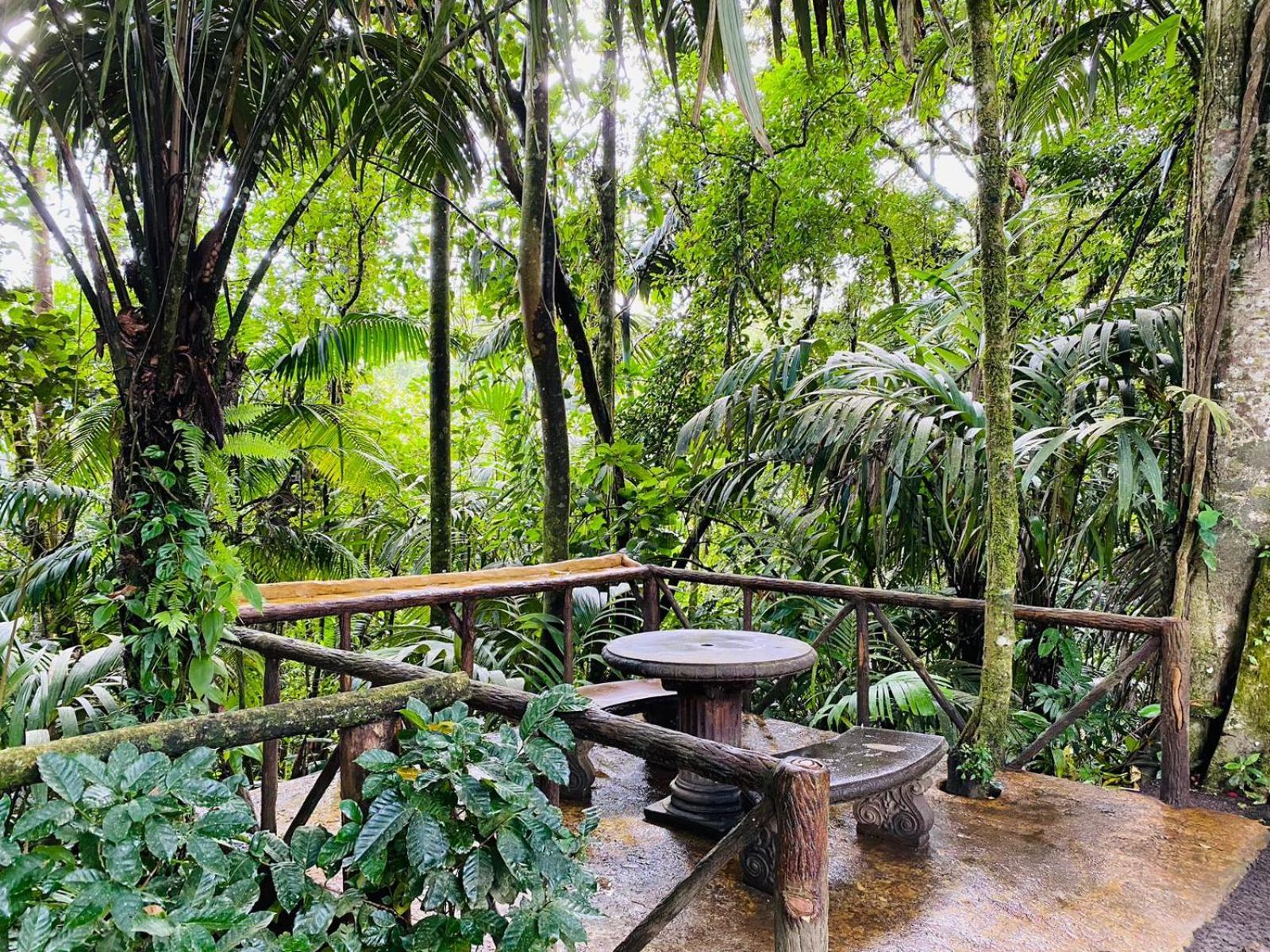 Wellness Park Cr Villa La Fortuna Exterior photo